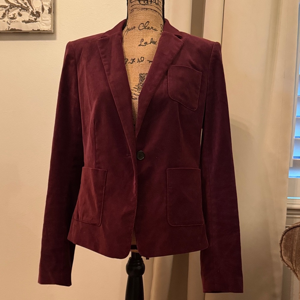 Ann Taylor Velveteen Burgundy Women's Blazer 10 T Striped lining